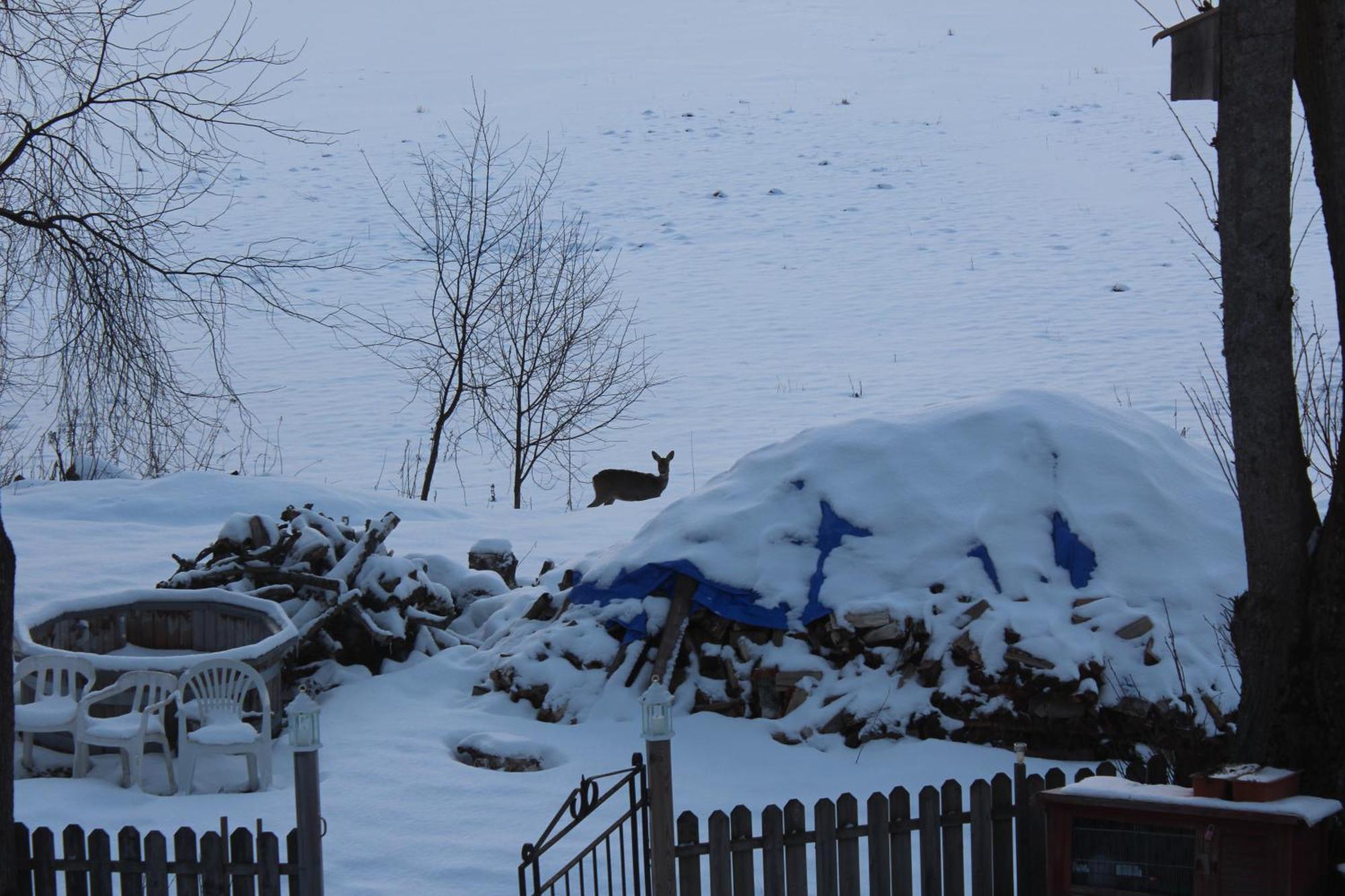 Affaeren Ma Bra Bed & Breakfast Sunne Dış mekan fotoğraf