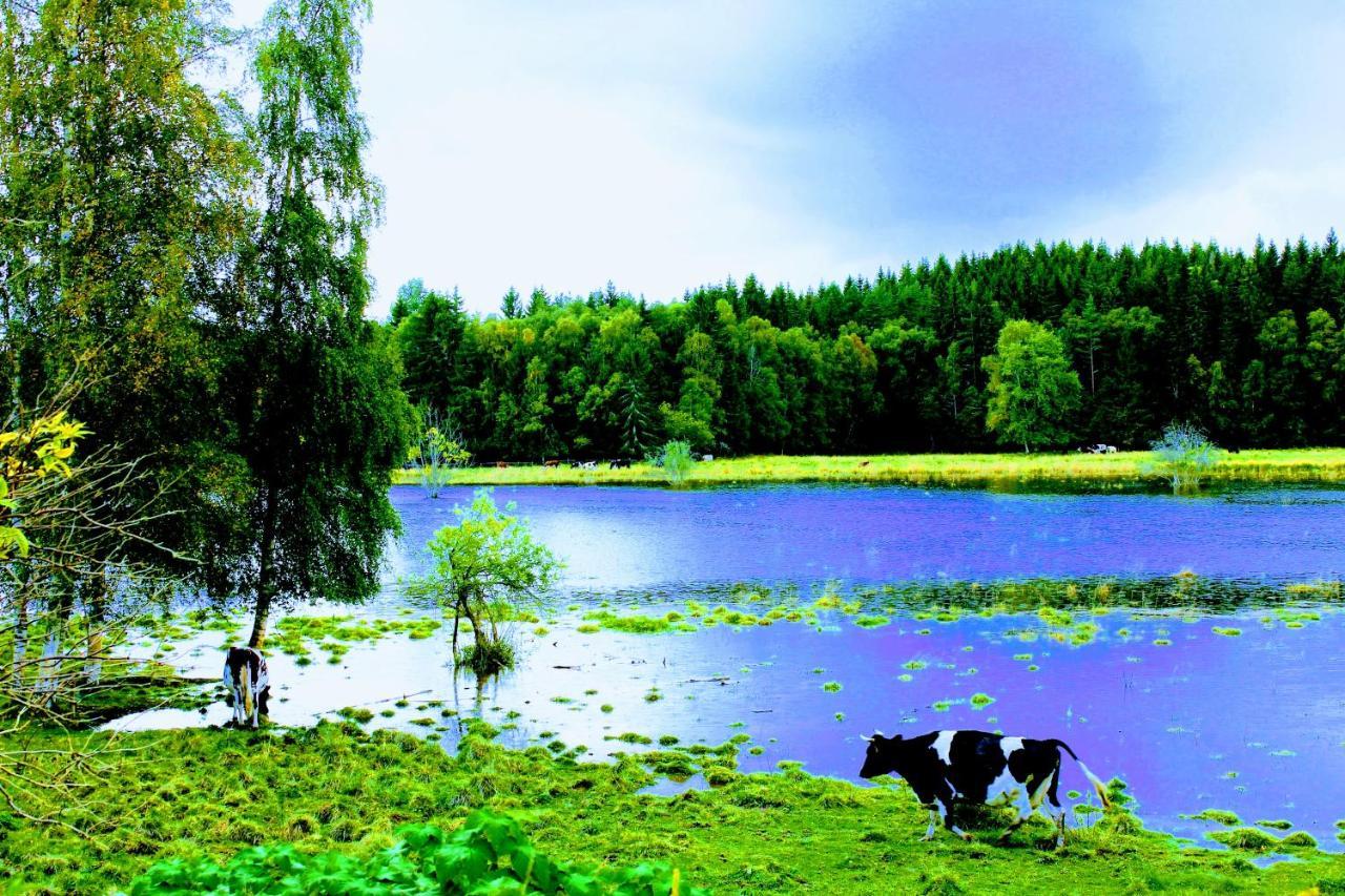 Affaeren Ma Bra Bed & Breakfast Sunne Dış mekan fotoğraf